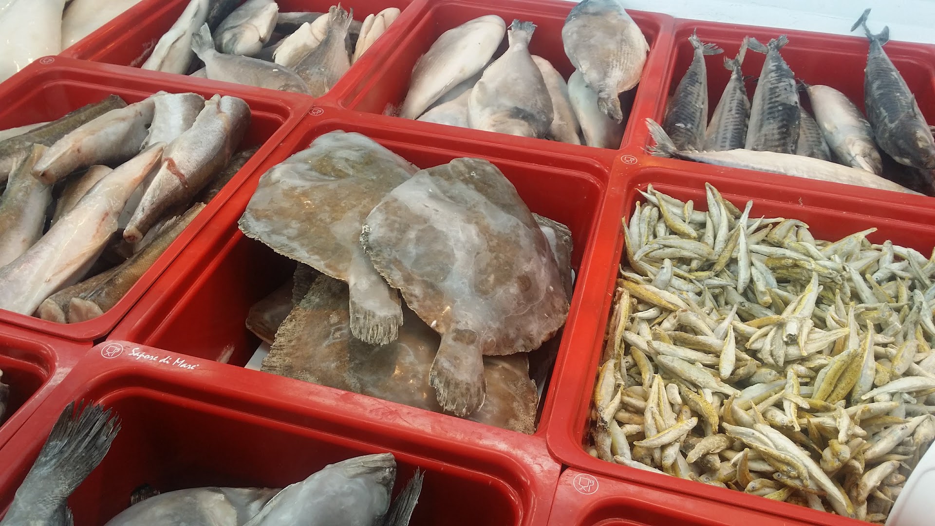 SAPOREDIMARE Buccinasco