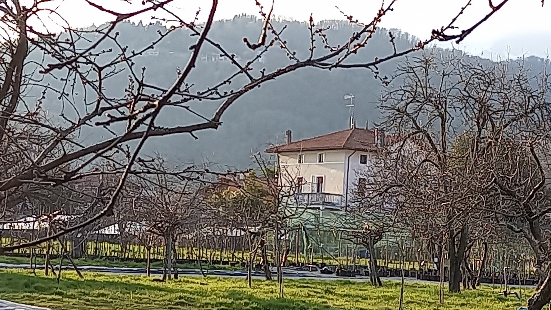 Sapori Dimenticati