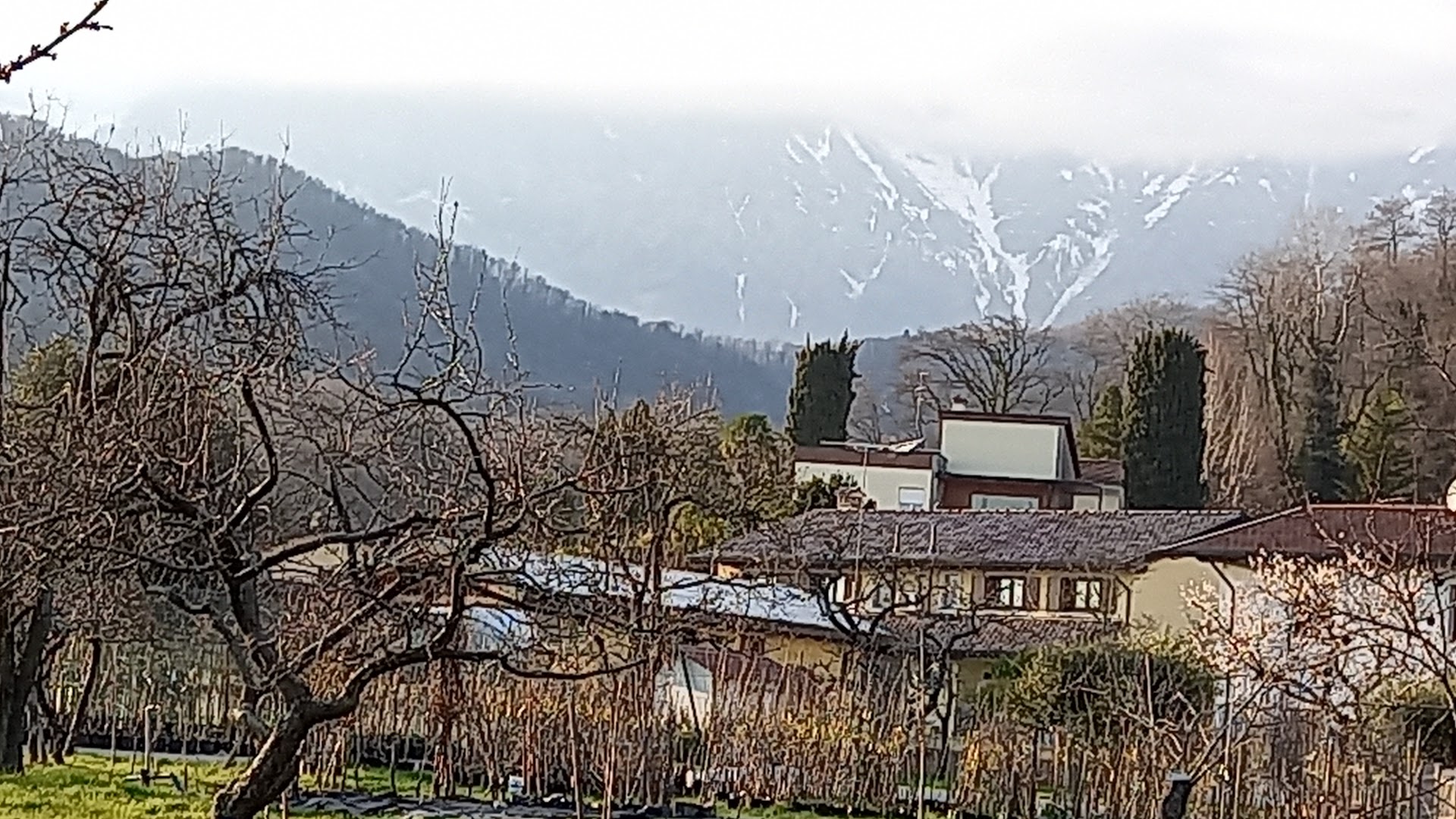 Sapori Dimenticati