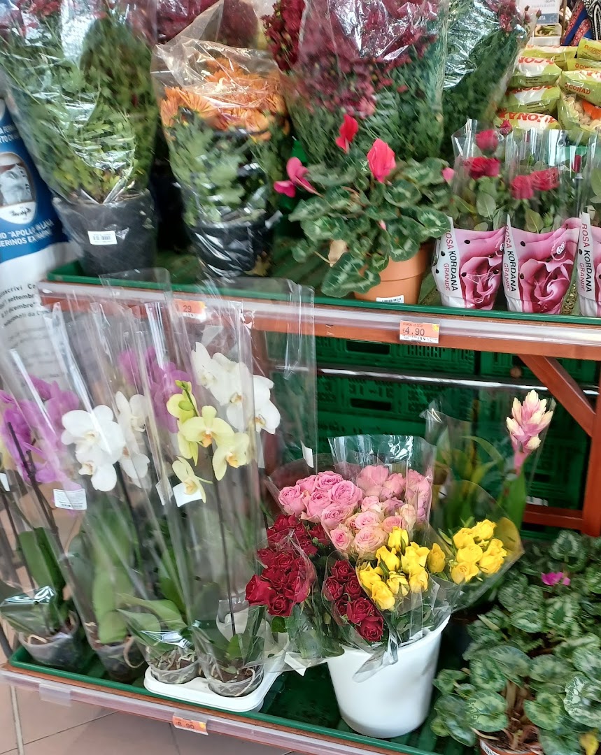 SAPORI & DINTORNI STORE