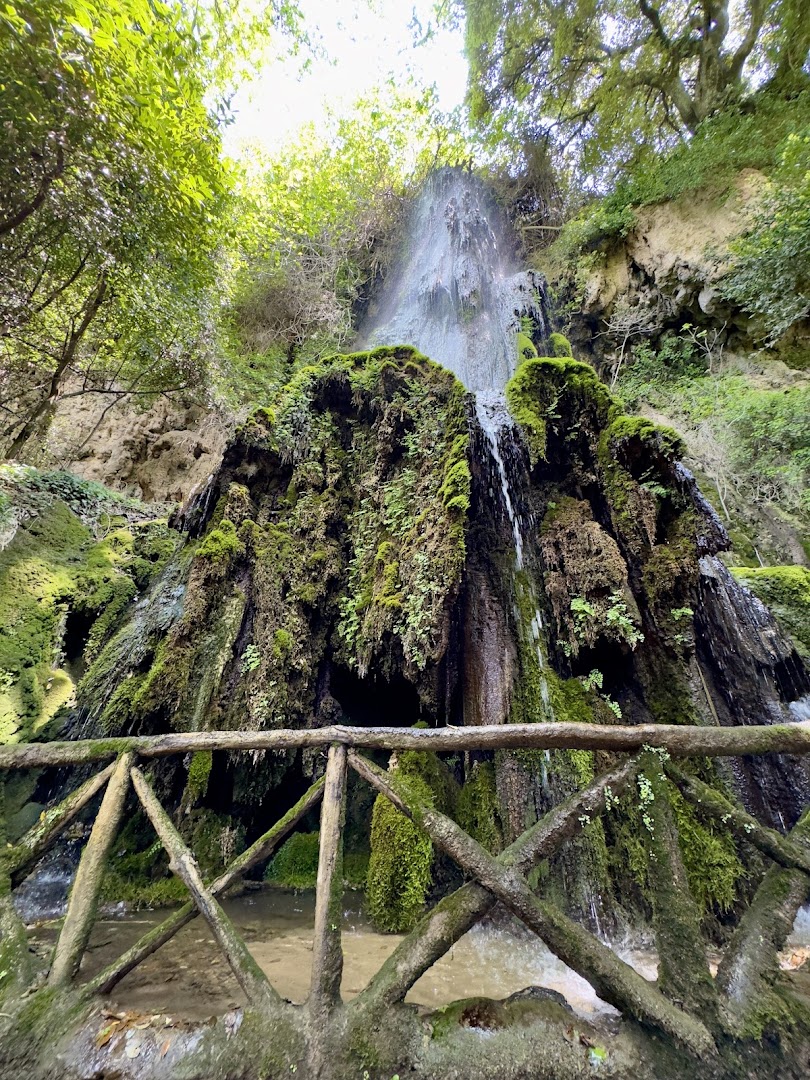 Sardegna in Trenino Verde