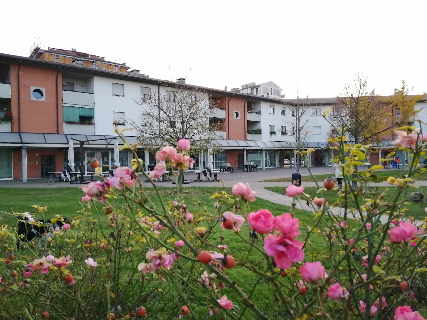 Saval Piazza, Verona