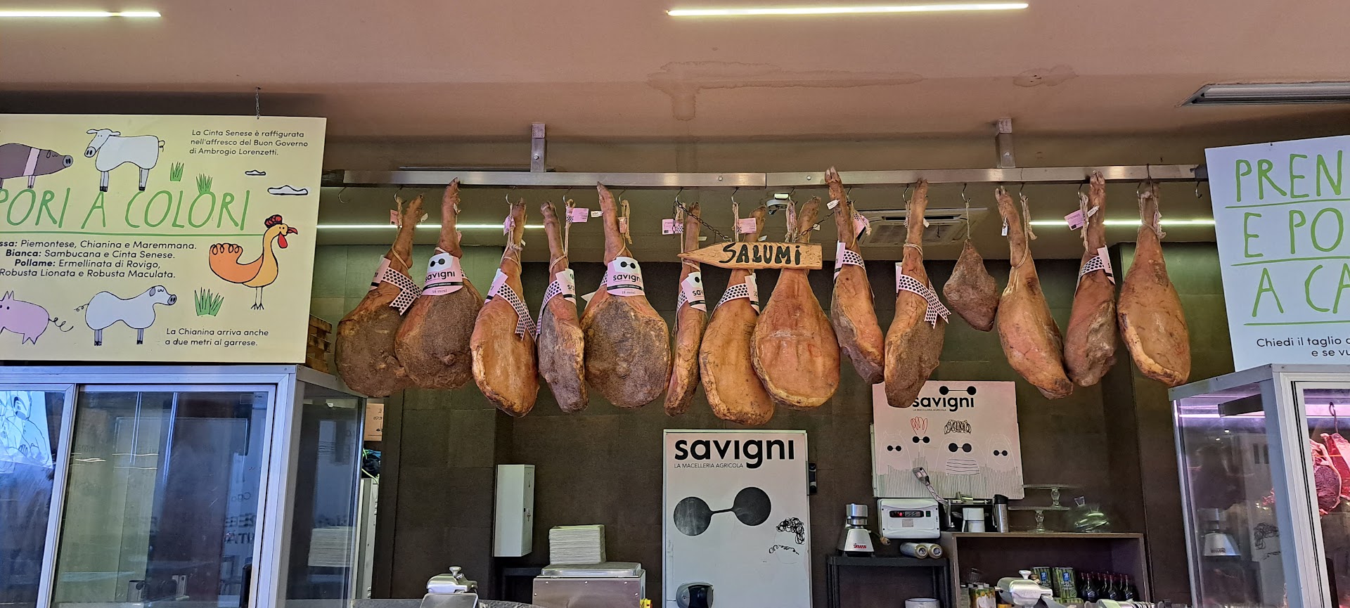 Savigni