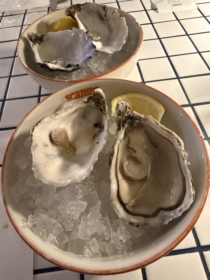 Scampo - Pescheria Moderna