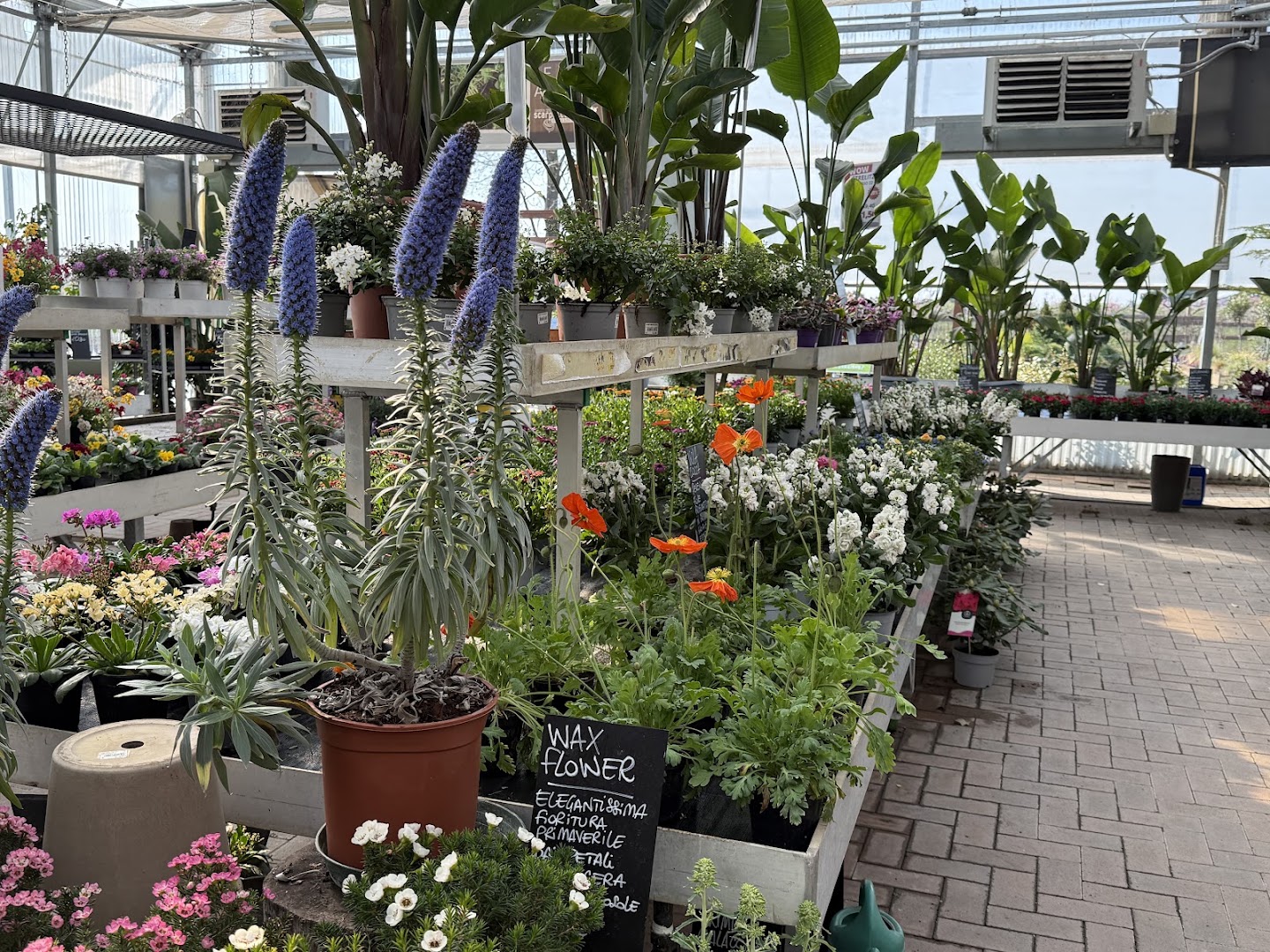 Scarpellini Garden Center