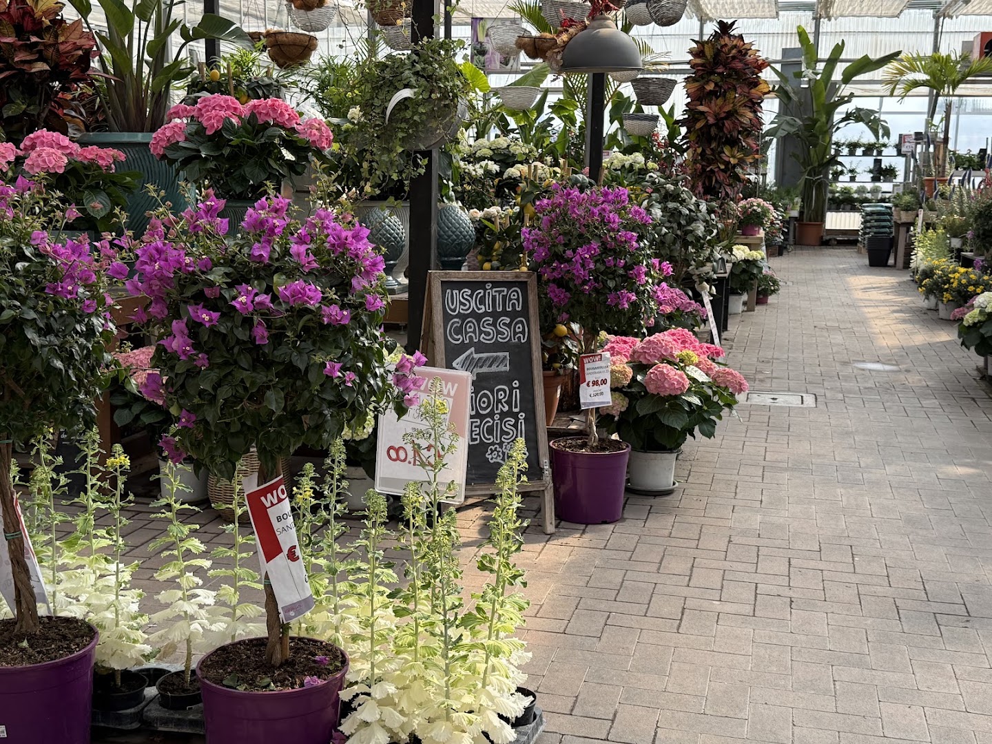 Scarpellini Garden Center