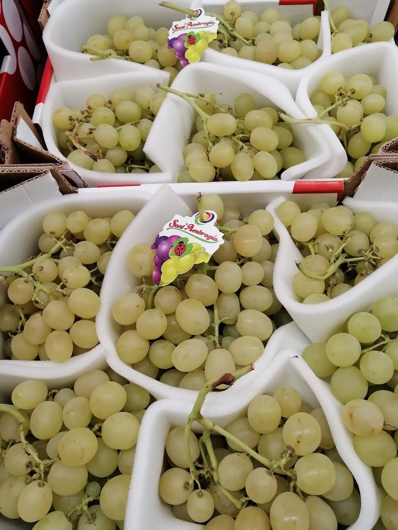 Scelgo S.p.A. | Mosciano Sant'Angelo