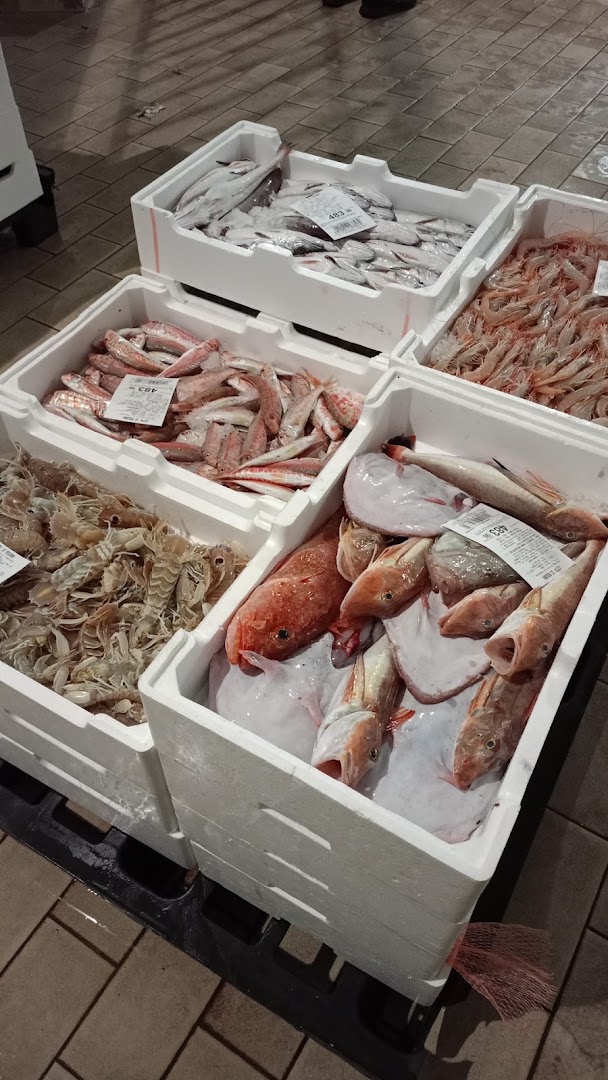 Scelgo S.p.A. | Pescara