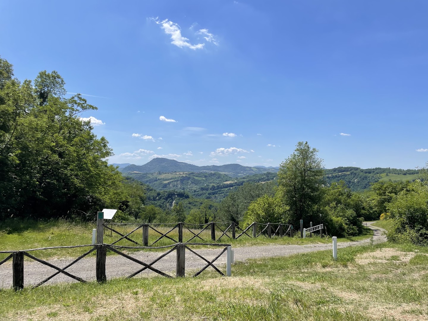 Scheletro di balena in Val di Zena, Pianoro