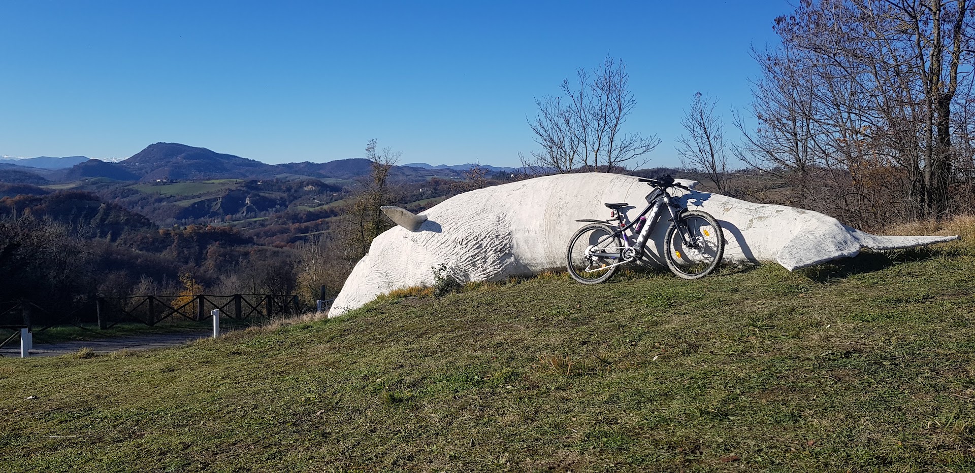 Scheletro di balena in Val di Zena
