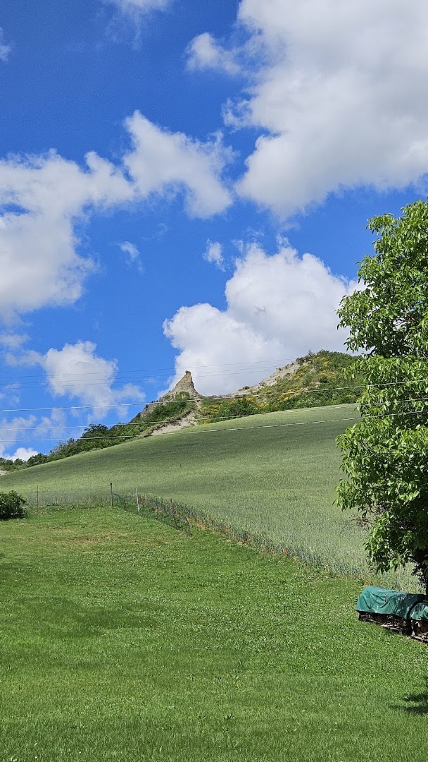 Scheletro di balena in Val di Zena