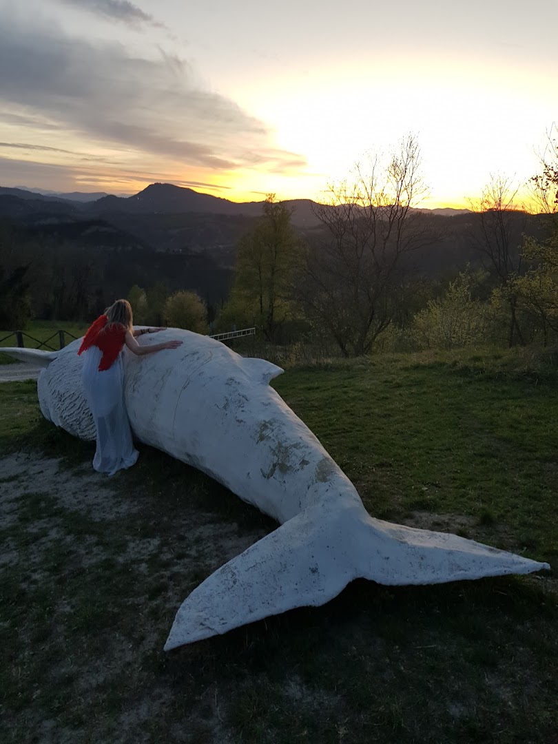 Scheletro di balena in Val di Zena