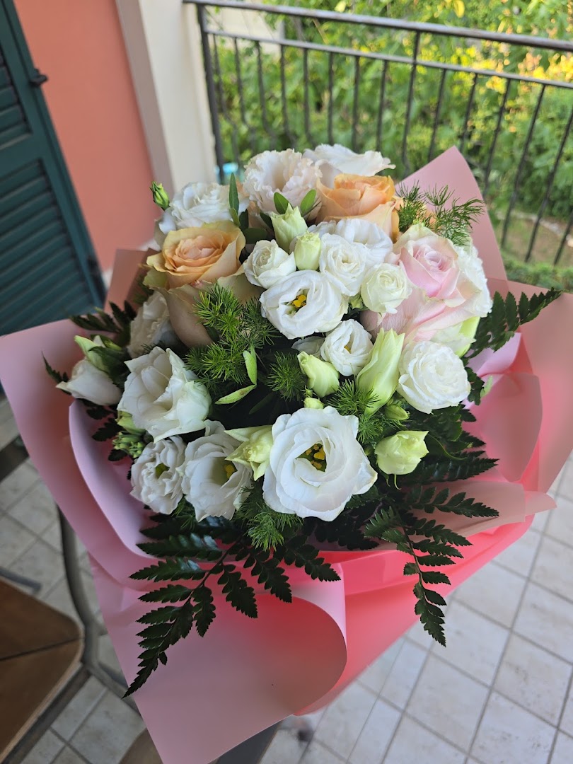 Scisciani Paola
