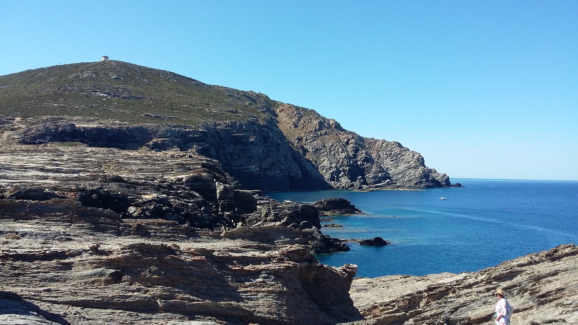 Scogliere di Capo Falcone