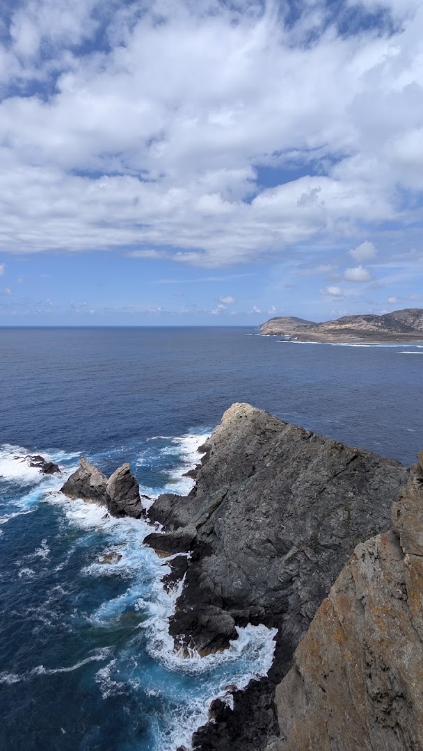 Scogliere di Capo Falcone