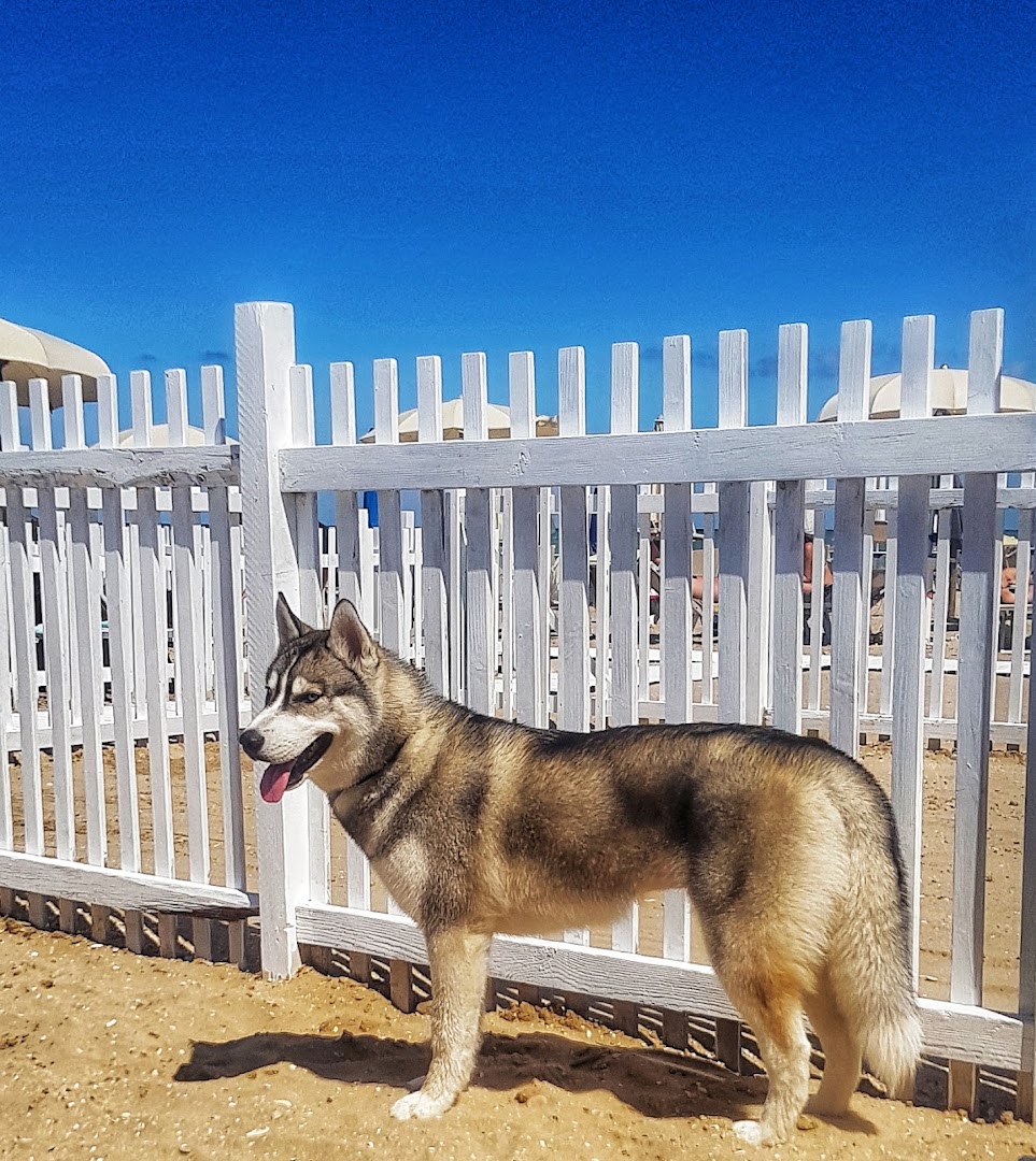 Scooby.Doo Beach