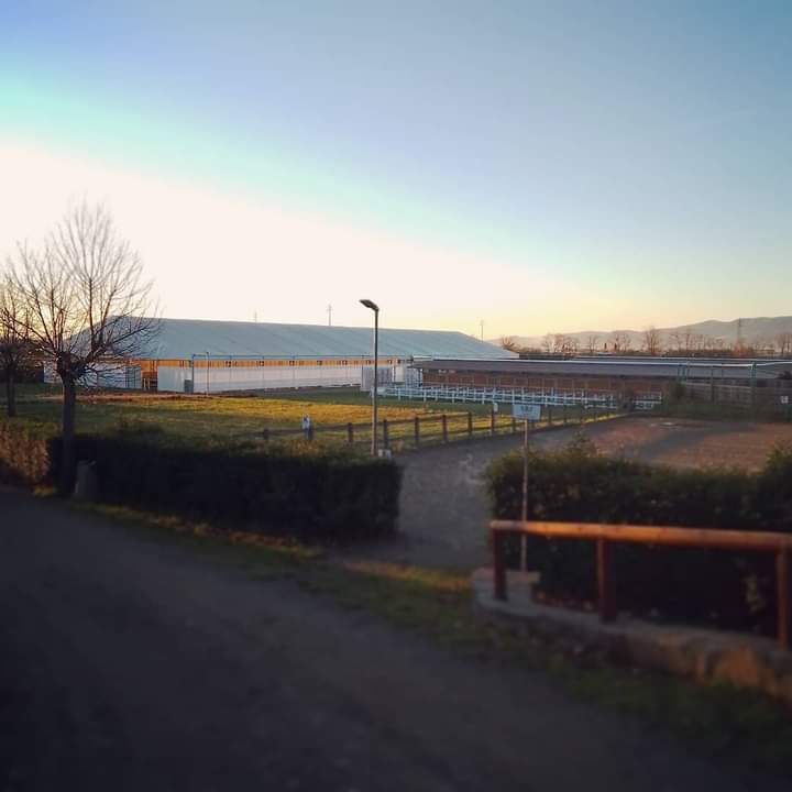 Scuola di equitazione La Querce, Montemurlo