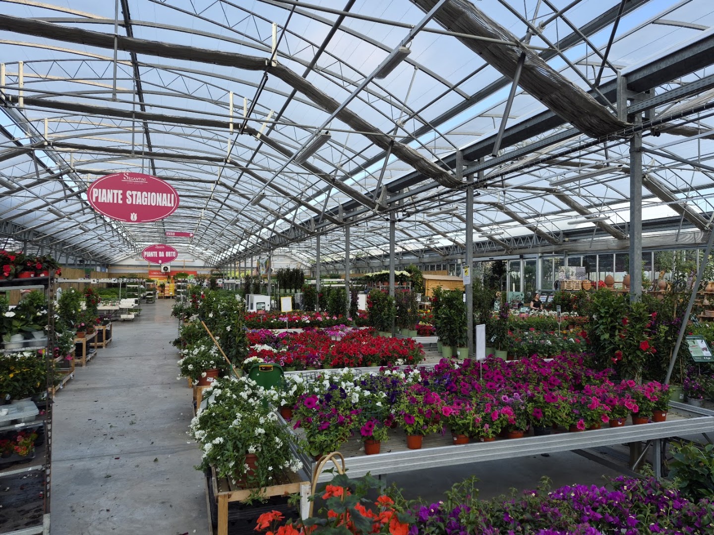 Segantini Green Passion | Garden Center