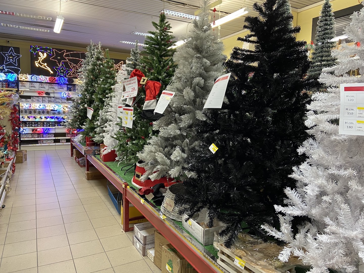 Selene Città Negozio