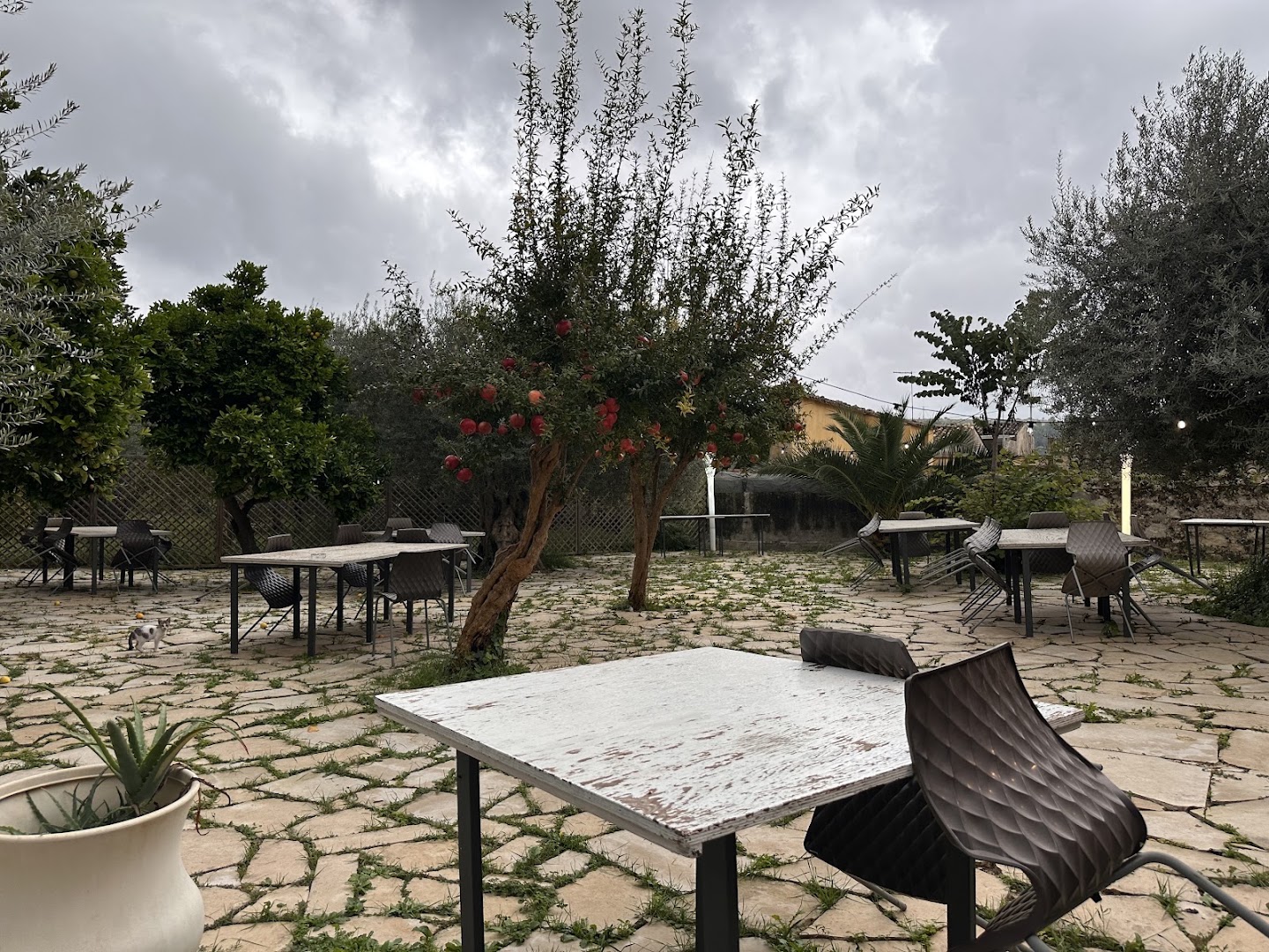 Semplice bistrobottega by eXè Food, Ragusa