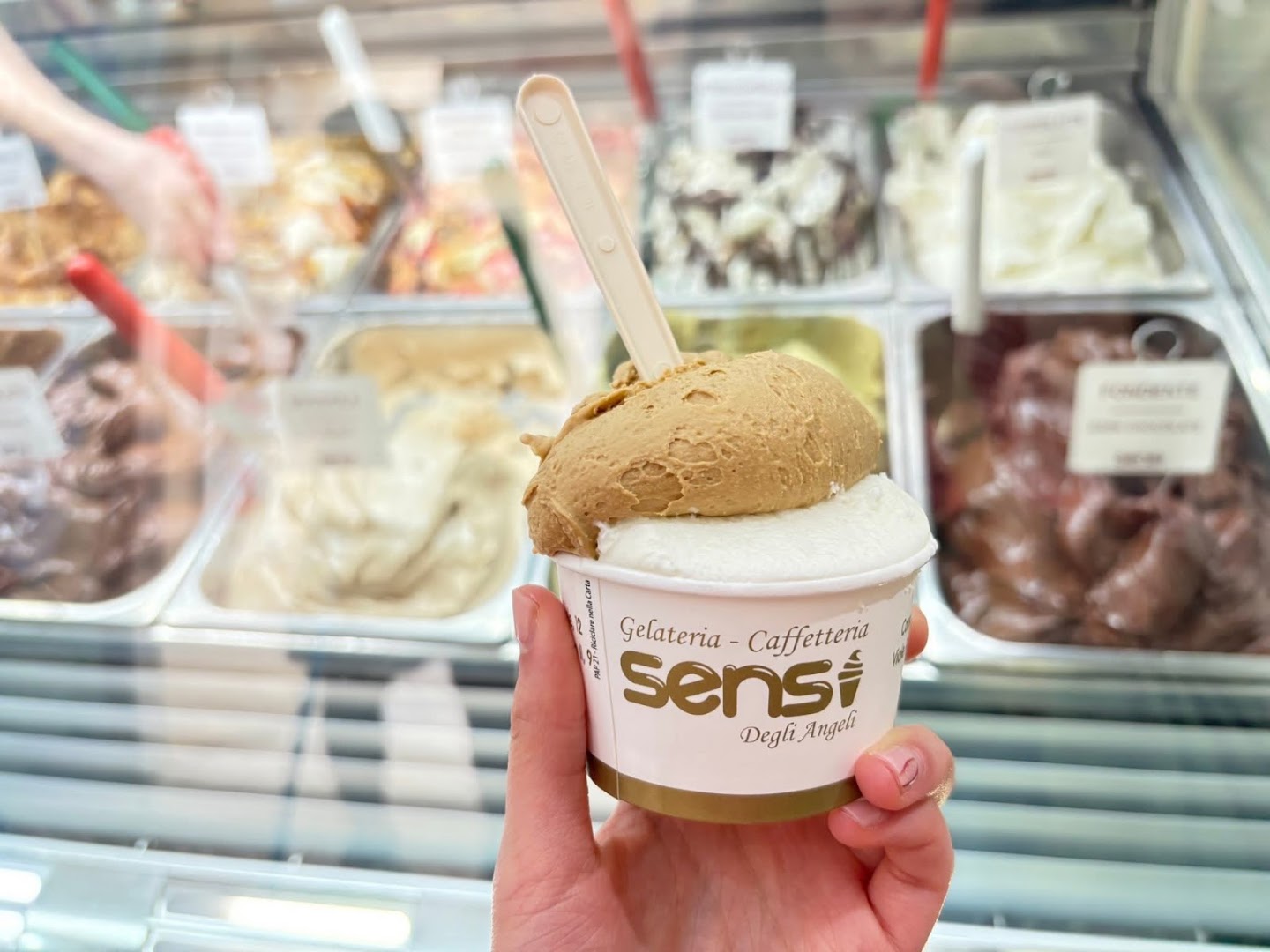 Sensi | Gelateria Artigianale