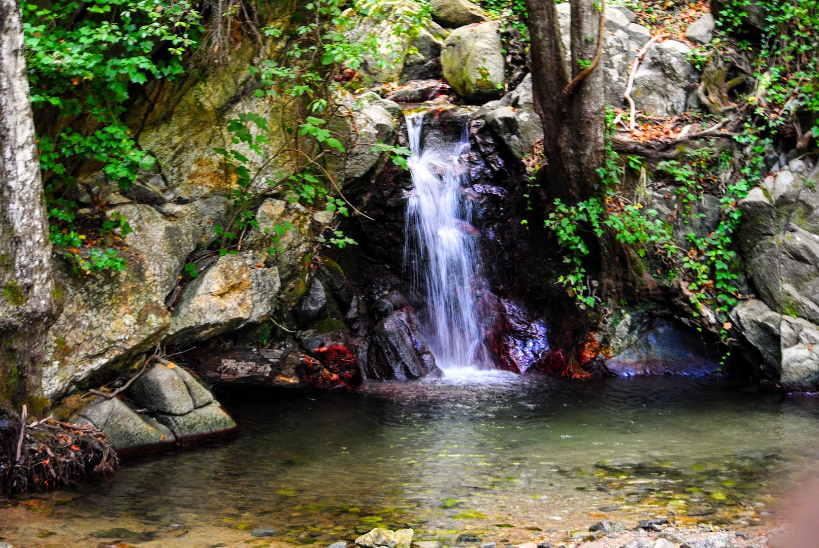 Sentiero Cascata Campanaro Zagarise, Zagarise