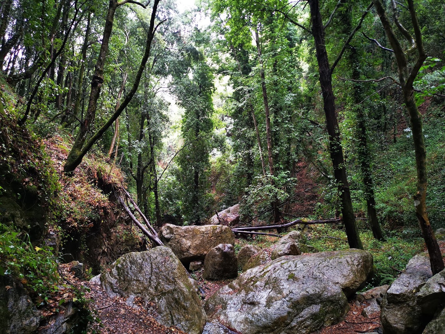 Sentiero Cascata Campanaro Zagarise