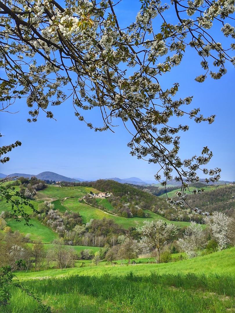 Sentiero d'arte - Opera II, Langhirano
