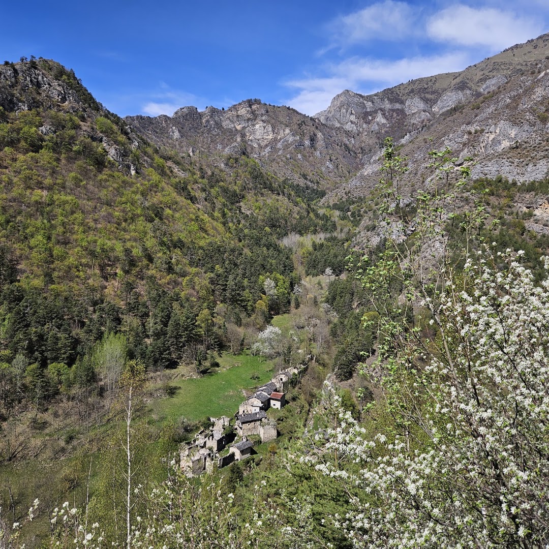 Sentiero Dei Ciclamini