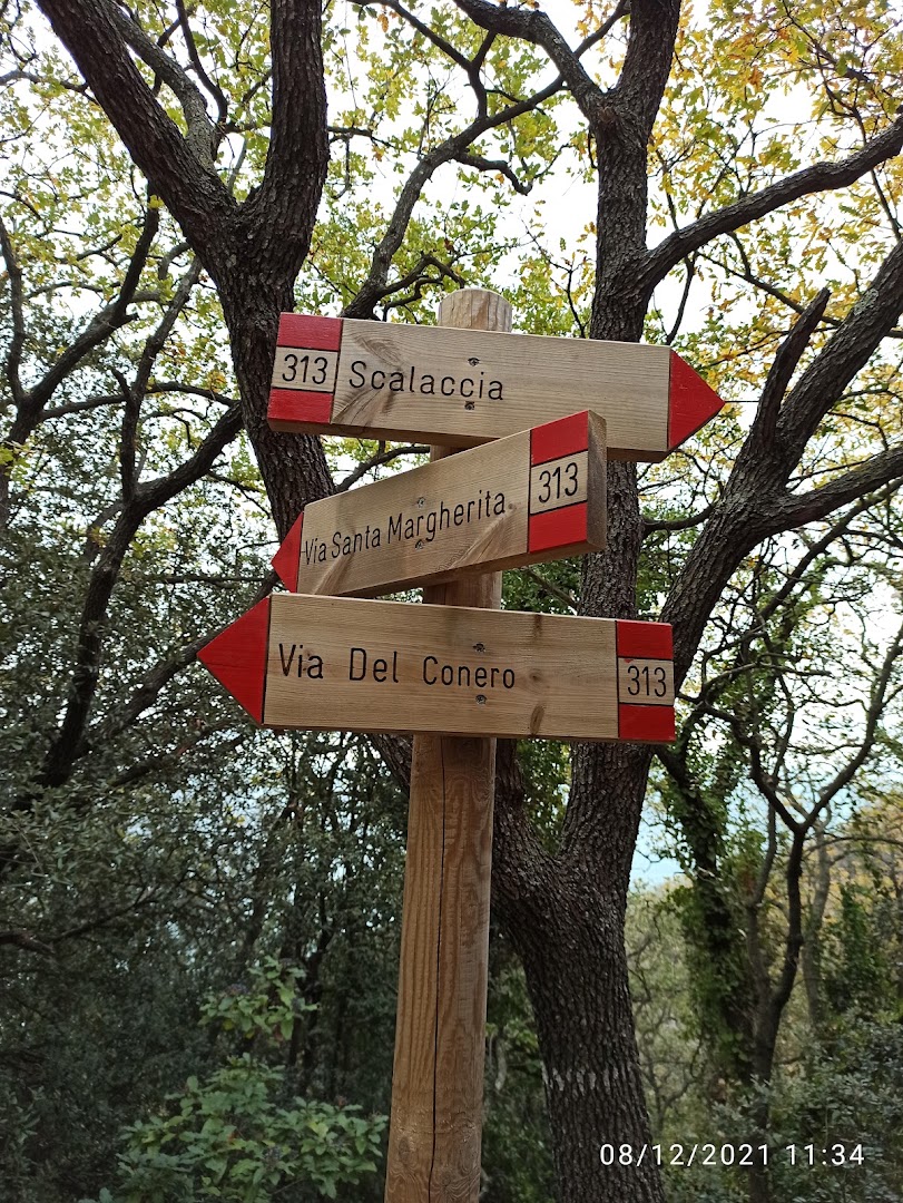Sentiero della Scalaccia, Ancona