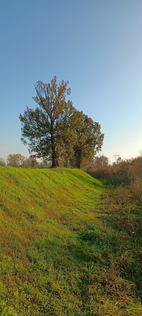 Sentiero delle Libellule - Parco Regionale Adda Sud