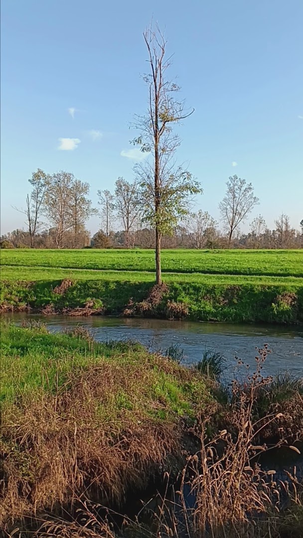 Sentiero delle Libellule - Parco Regionale Adda Sud