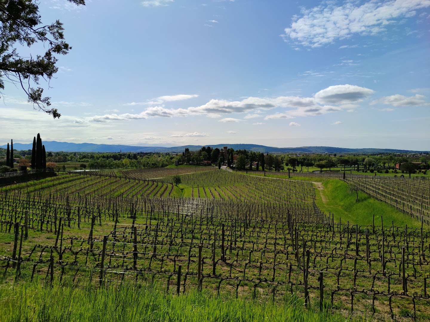 Sentiero delle Vigne Alte