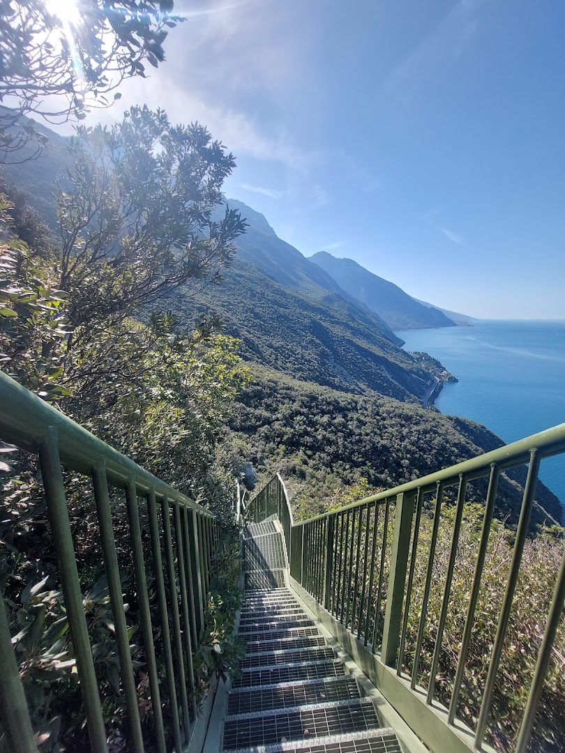 Sentiero forestale Busatte - Tempesta, Nago-Torbole
