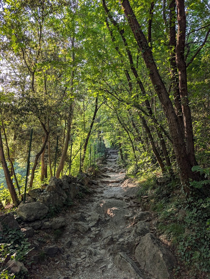 Sentiero forestale Busatte - Tempesta