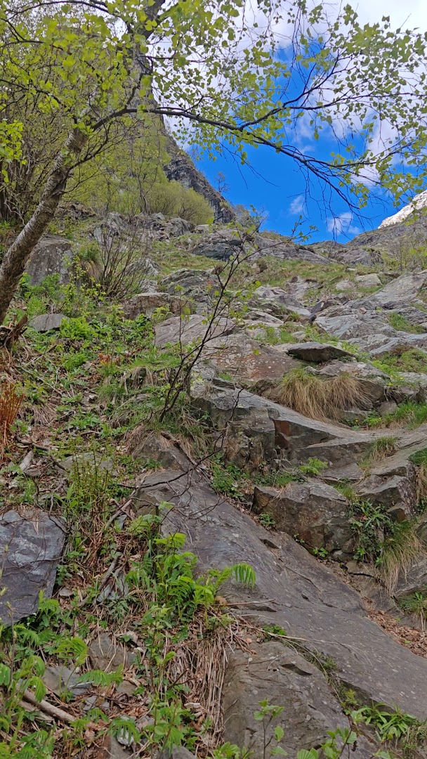Sentiero rifugio Merelli al Coca