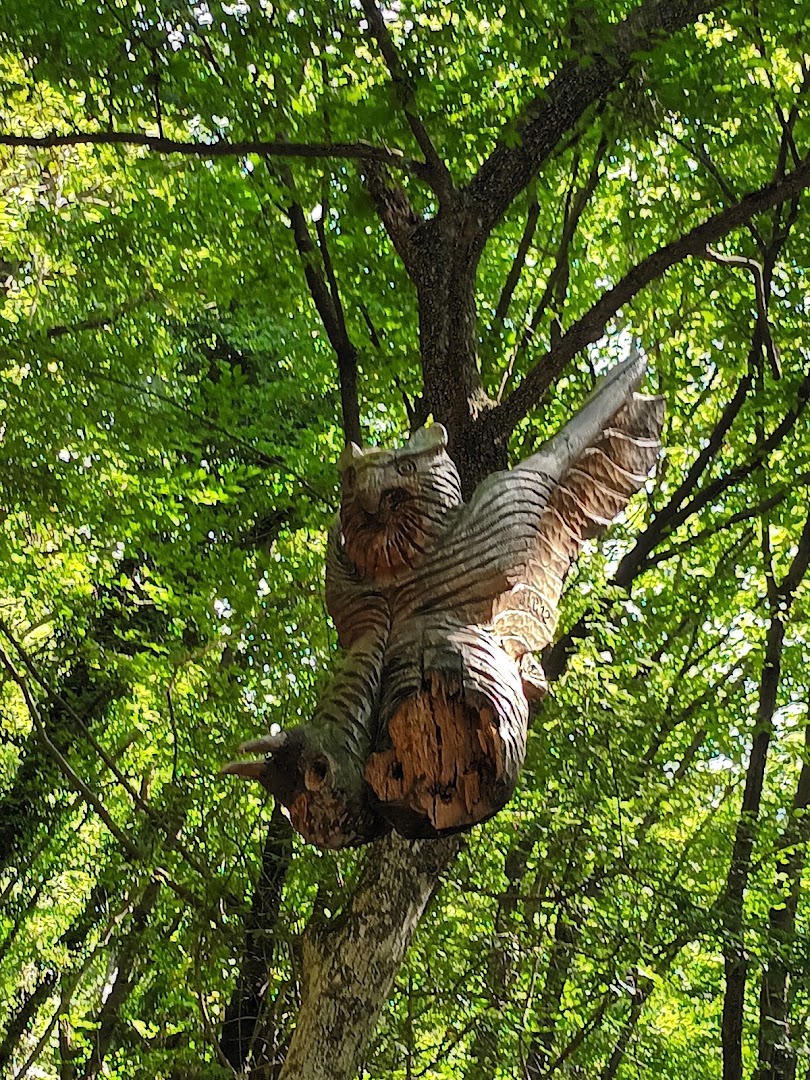 Sentiero Spirito Del Bosco, Canzo