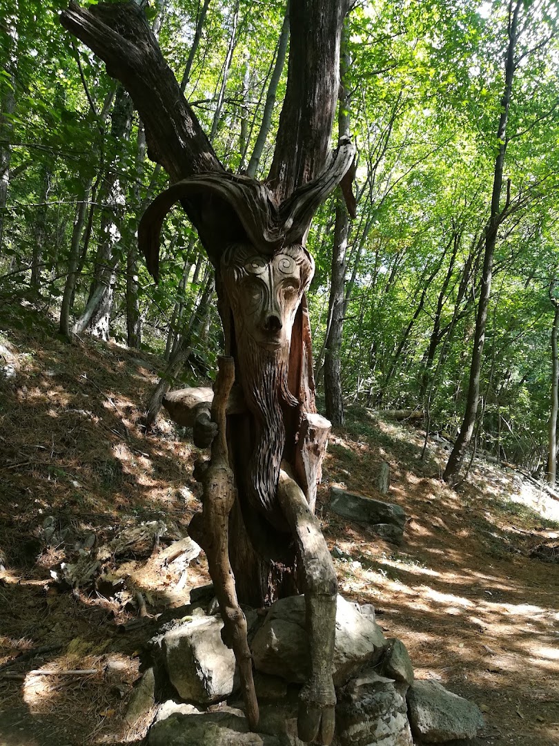 Sentiero Spirito Del Bosco
