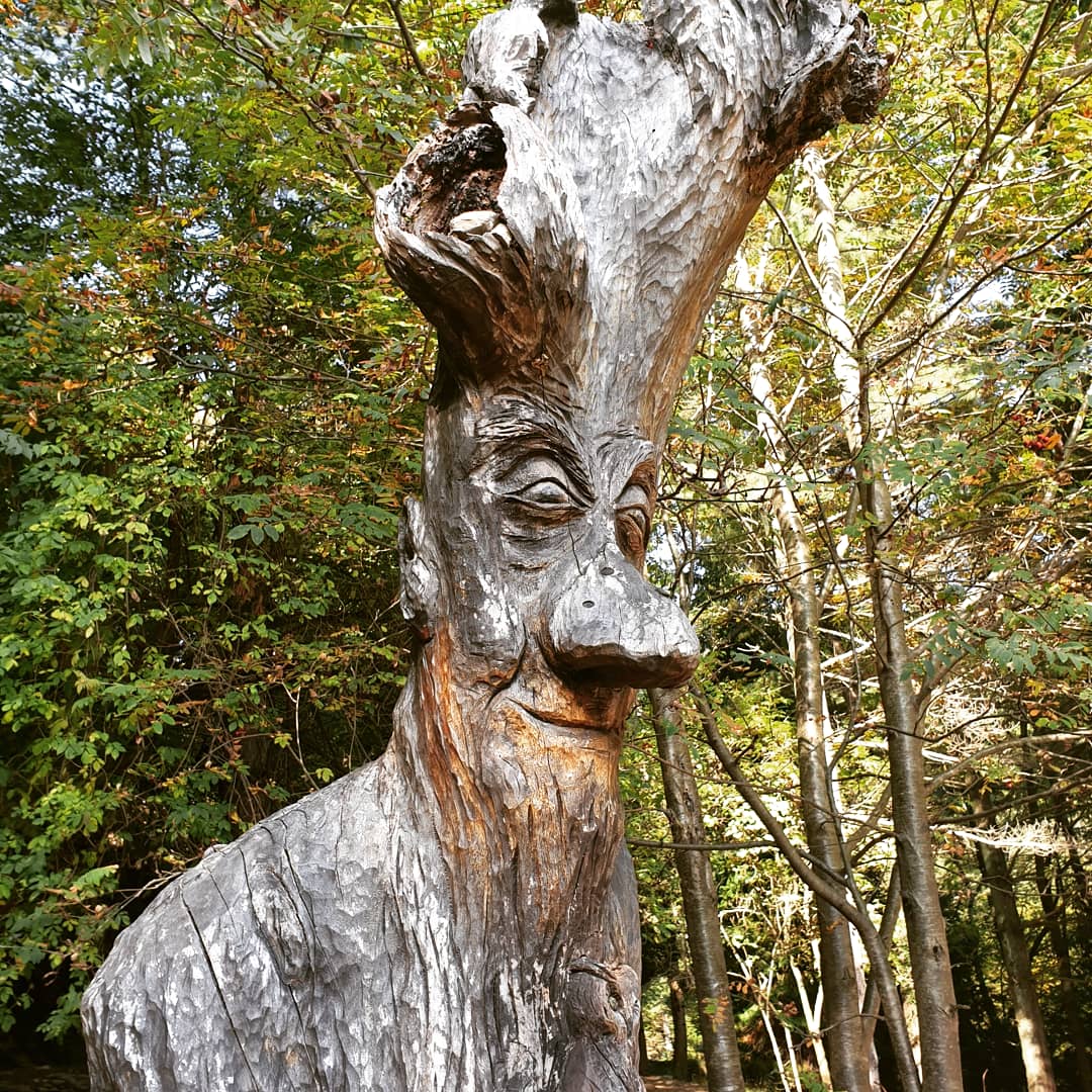 Sentiero Spirito Del Bosco