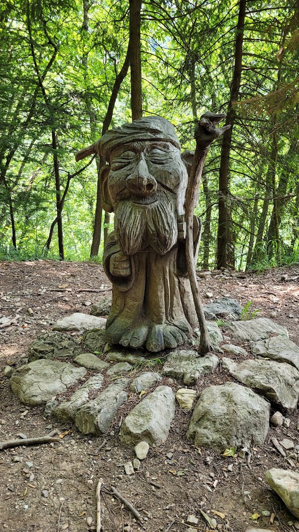 Sentiero Spirito Del Bosco