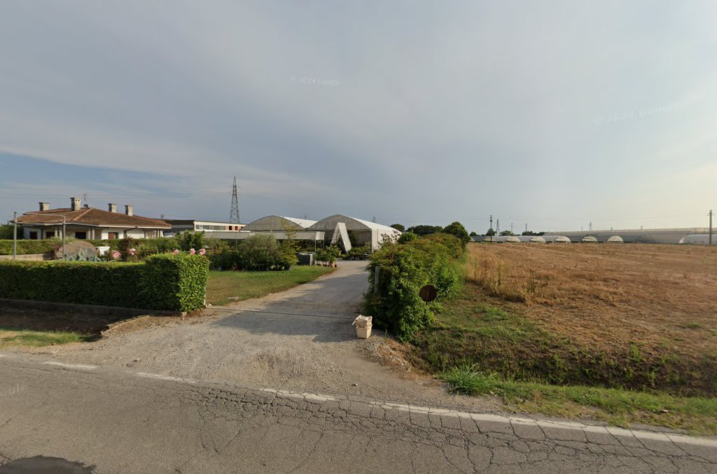 Serena fiori Di Vicentini Serena