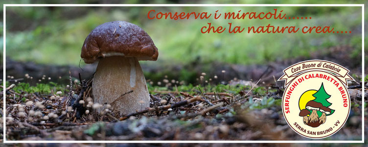 Serfunghi di Calabretta Bruno, Serra San Bruno