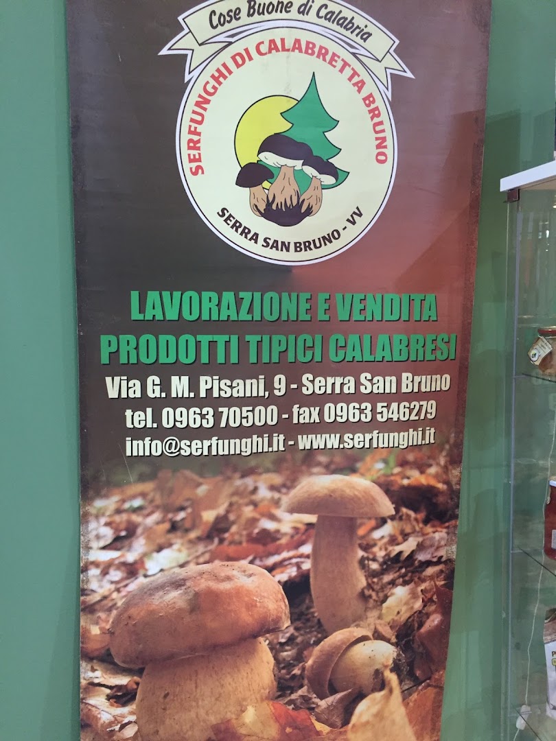 Serfunghi di Calabretta Bruno