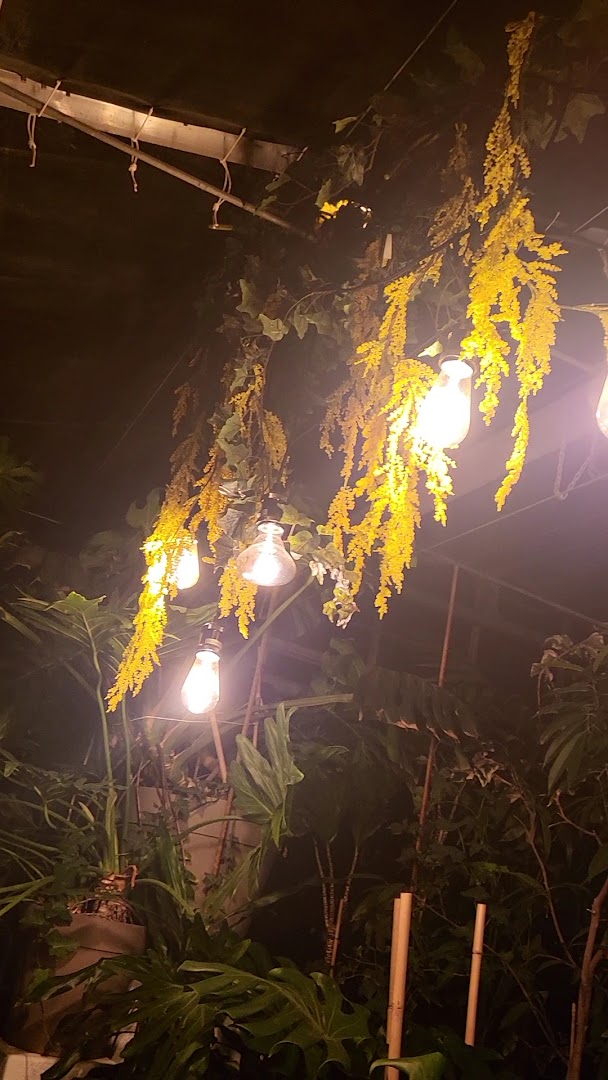 Serramare Piante e Cucina - Fiorista a Cesenatico, Cesenatico