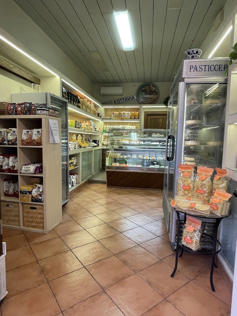 Sg Shop