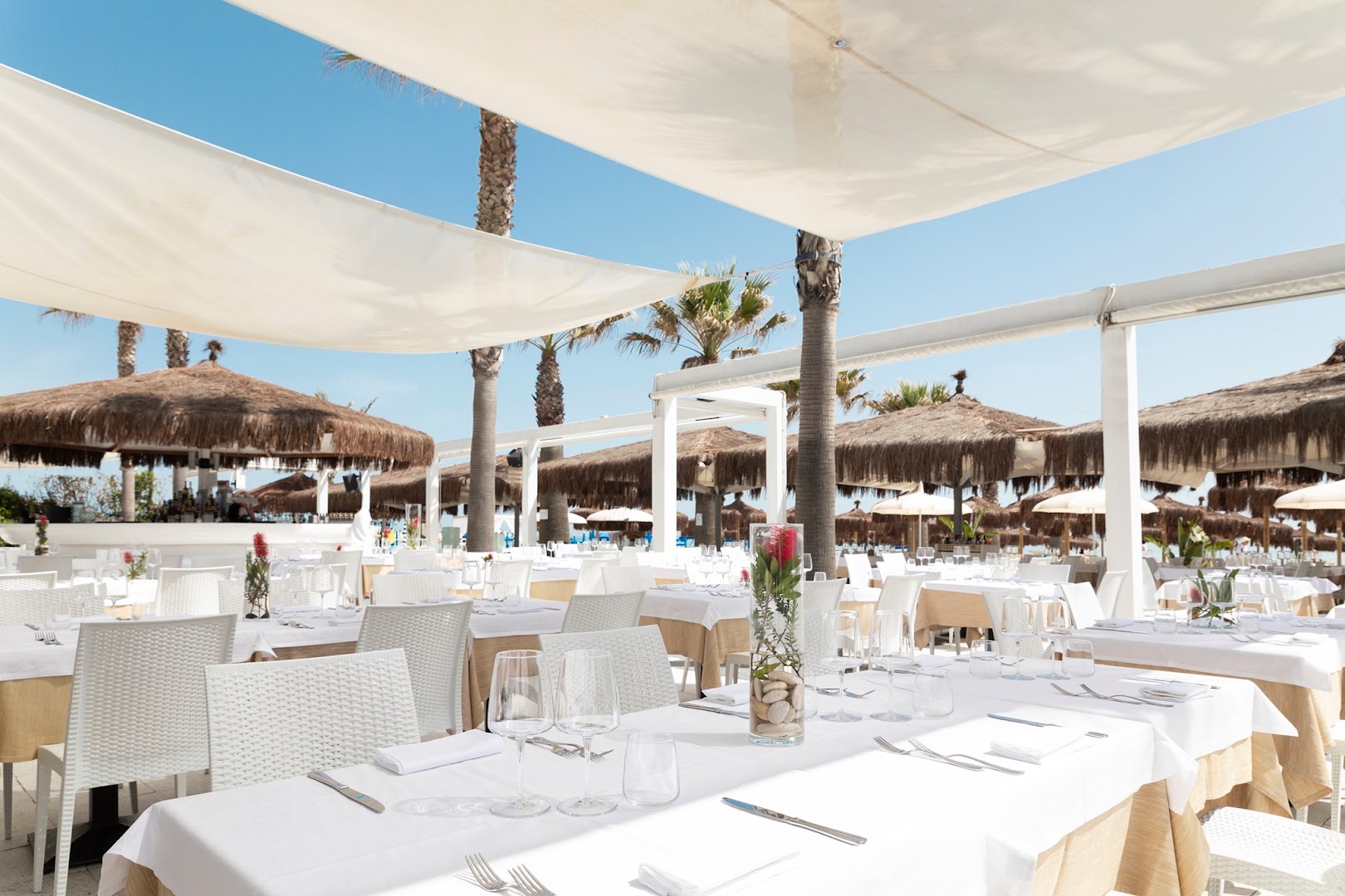 Shada Beach Food Club