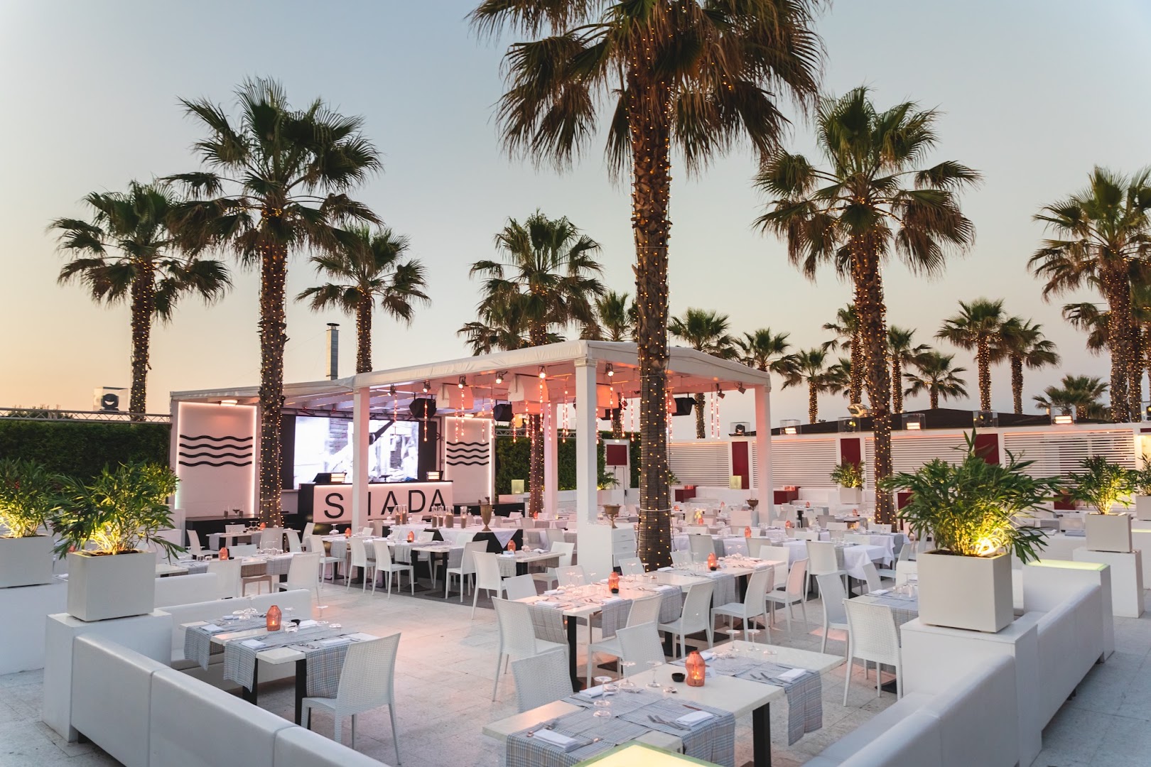 Shada Beach Food Club