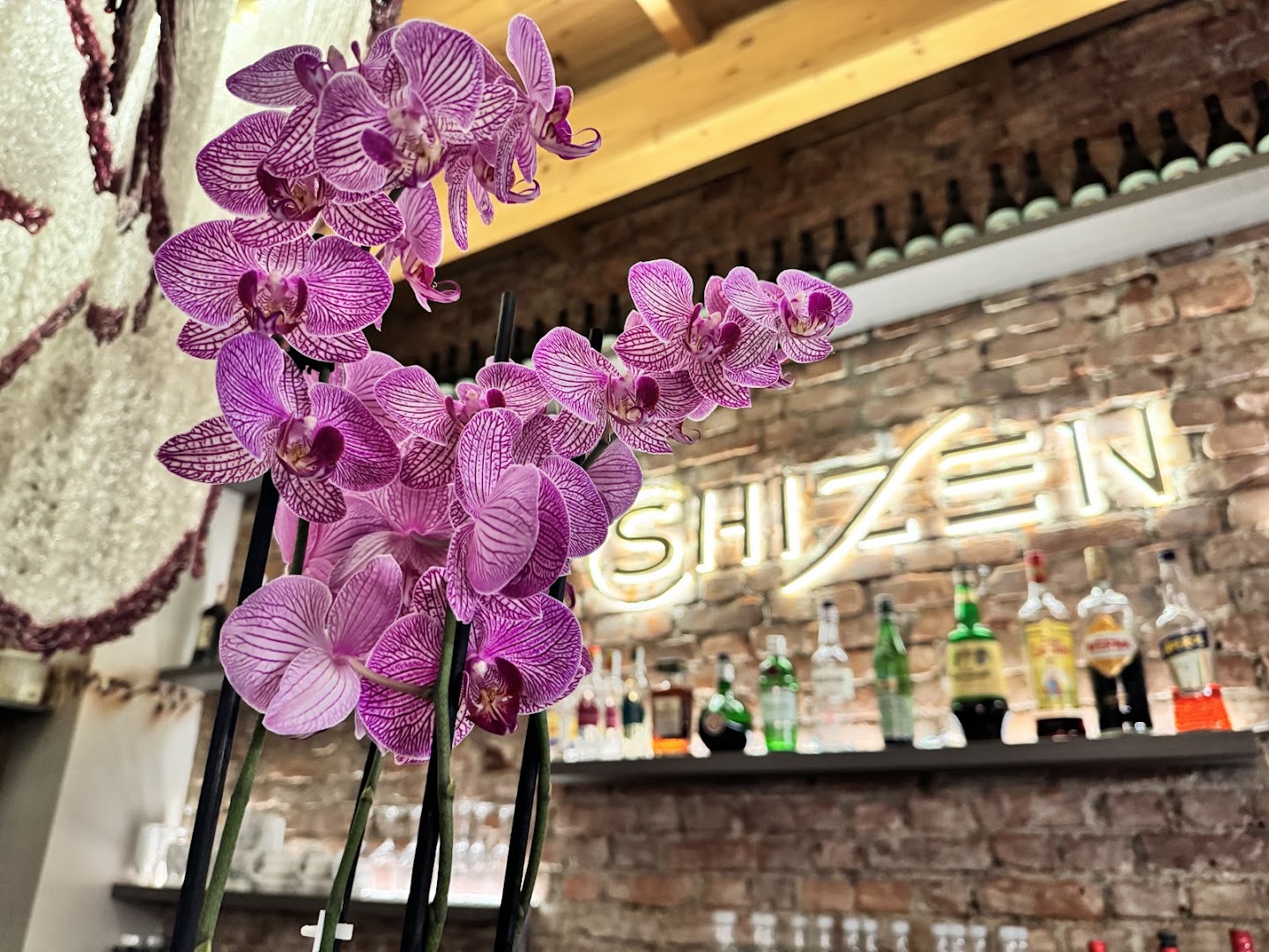 Shizen Premium