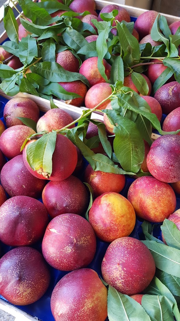 Siamo arrivati alla frutta, Montoro