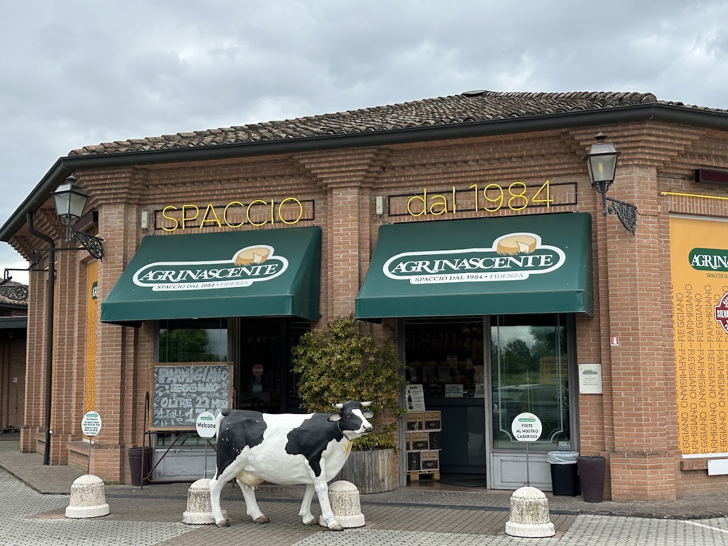 Silvano Romani | Agrinascente